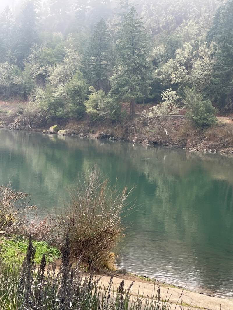 walking near me in River Forks Park in winter