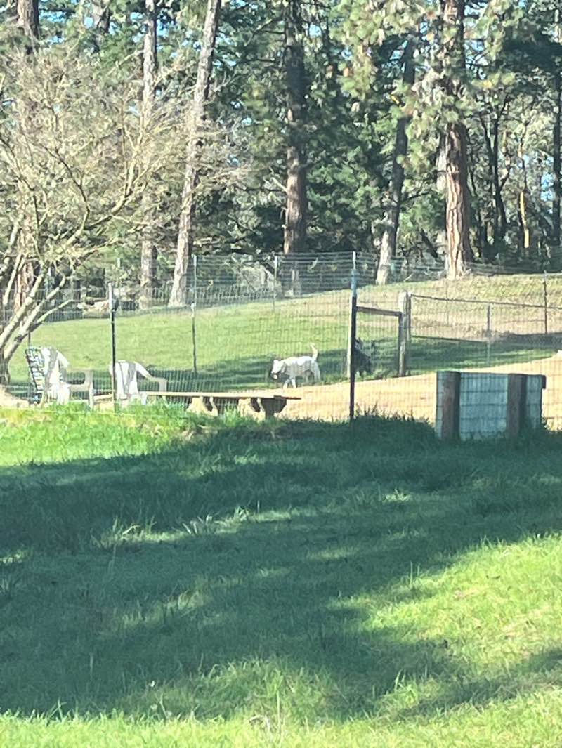 walking near me in Hartley Park in winter
