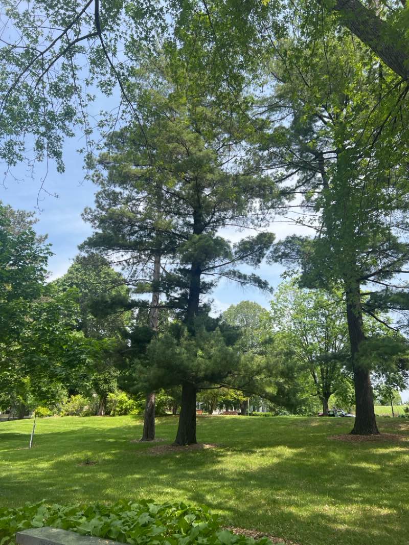 walking near me in Riverside Park in summer