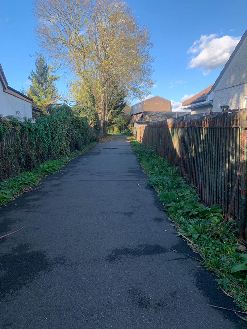 walking near me in Jutsums Park in autumn