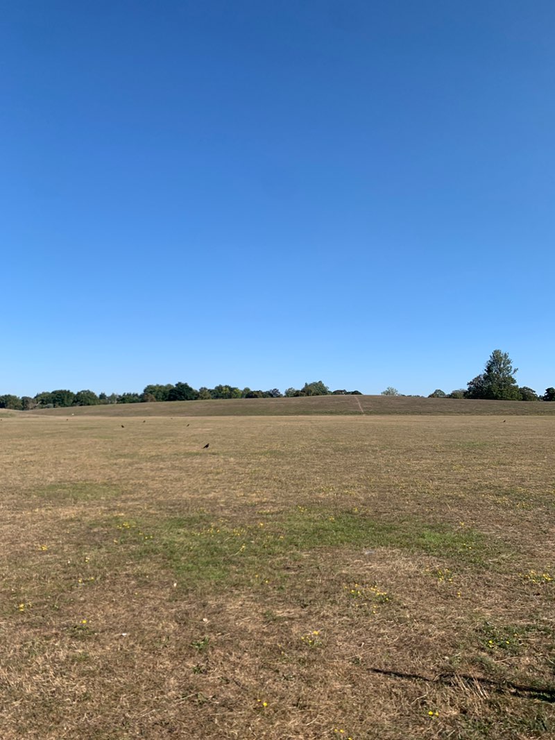 walking near me in Central Park in autumn