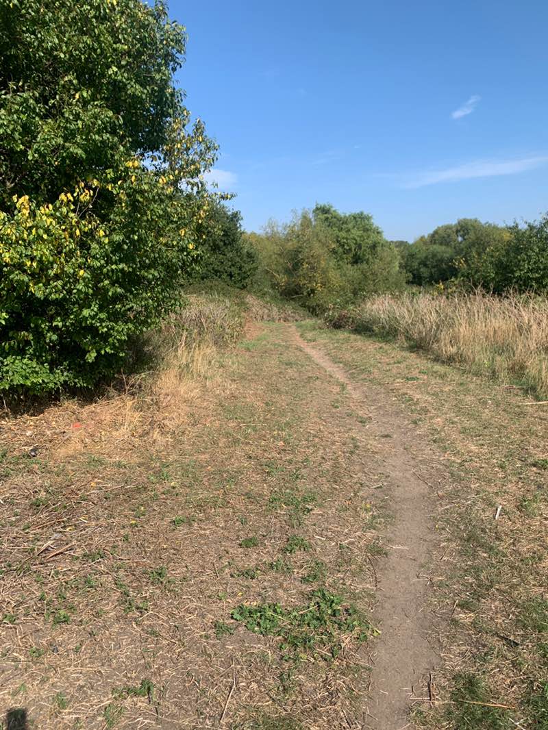 walking near me in Beam Valley Country Park in autumn