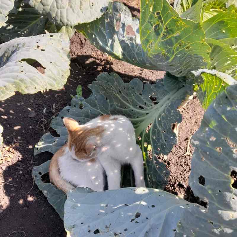 Эльвина post 1