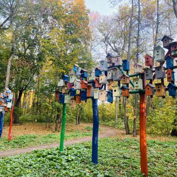 Эльвина post 3