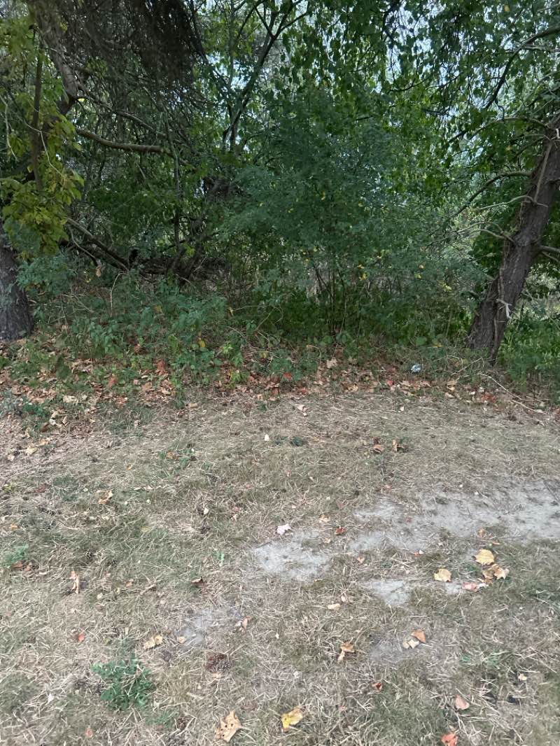 walking near me in Innovation Hills Park in autumn