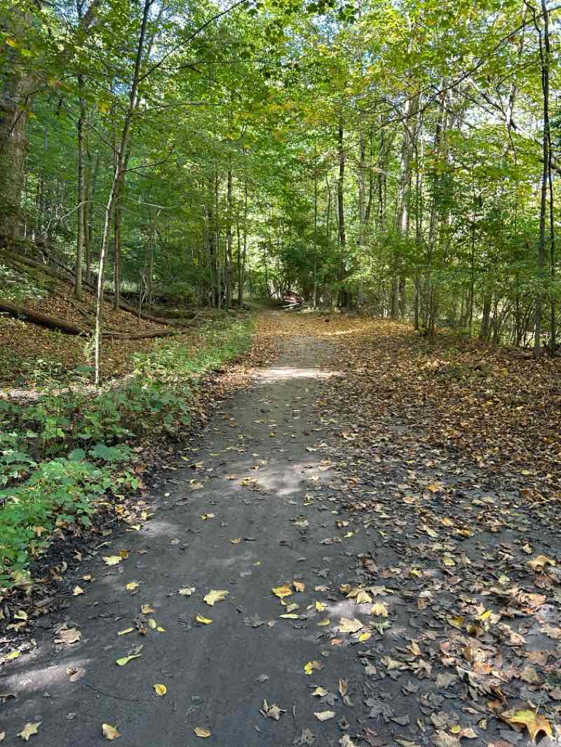 walking near me in Watertown Park in autumn