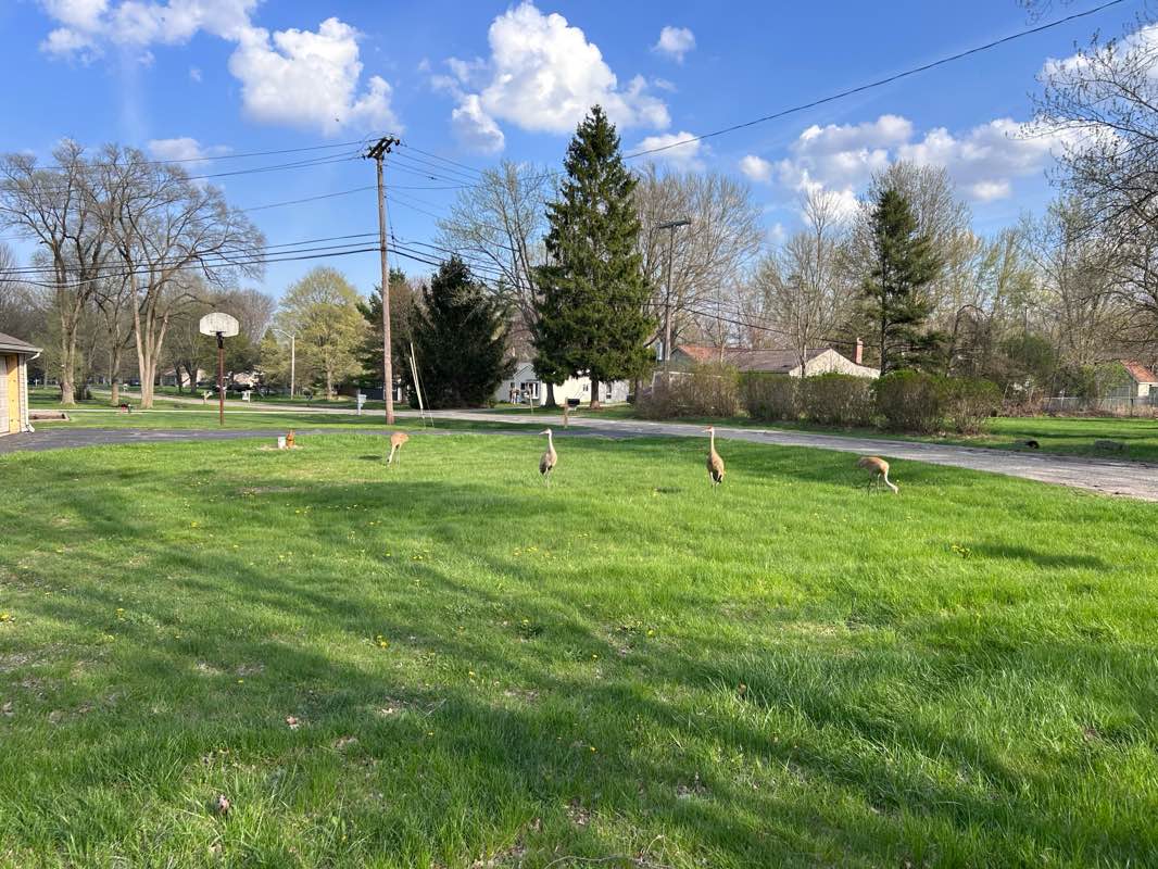 walking near me in Depot Park in spring