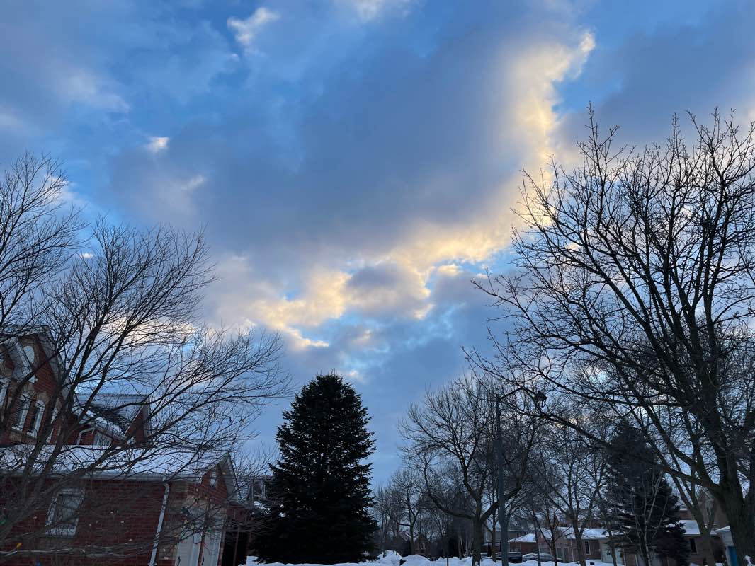 walking near me in Seston Park in winter