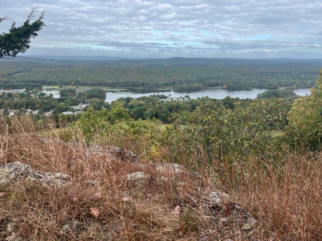 walking near me in Doctor Francis Giuffrida Park in winter