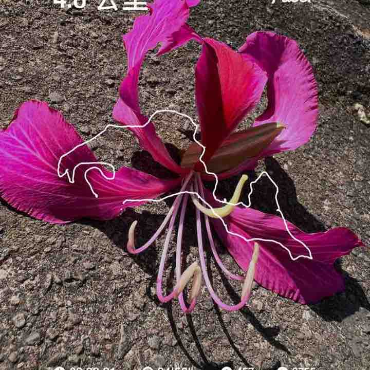 歡喜愉悅一切順心 post 1