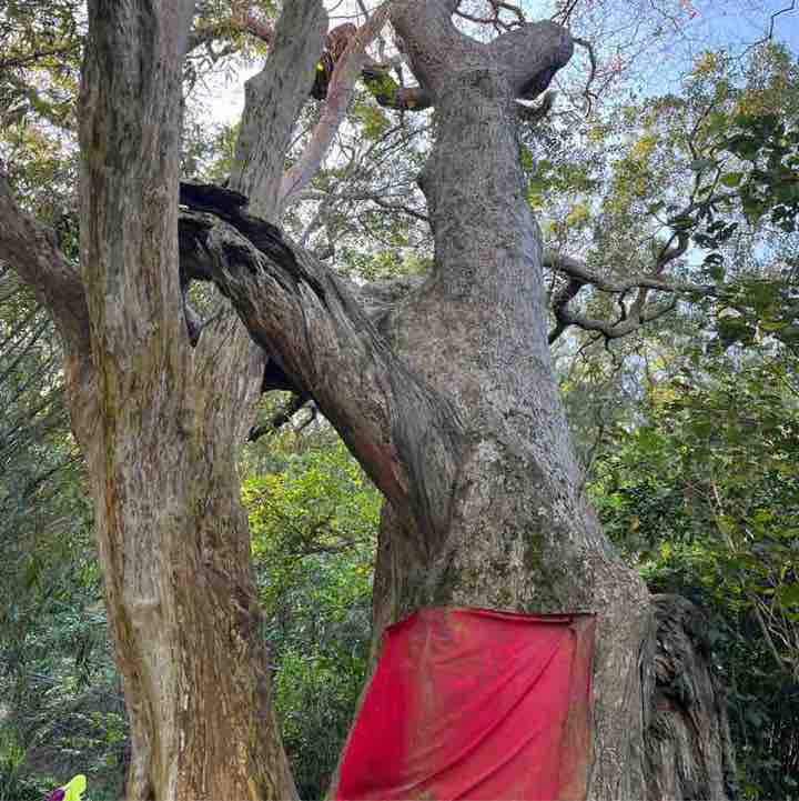 歡喜愉悅一切順心 post 3