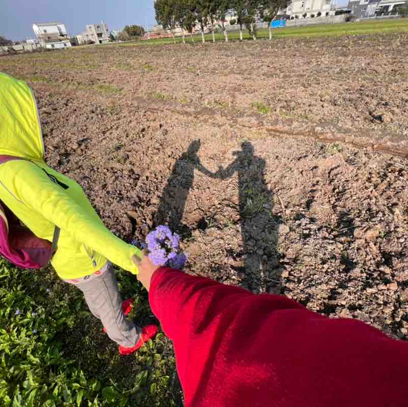 歡喜愉悅一切順心 post 2