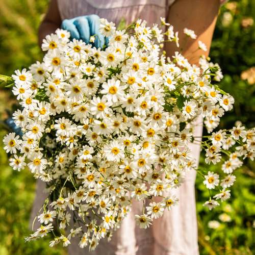 Александра post 3