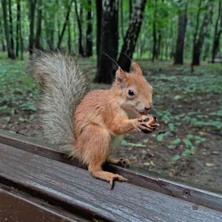 Александра post 1