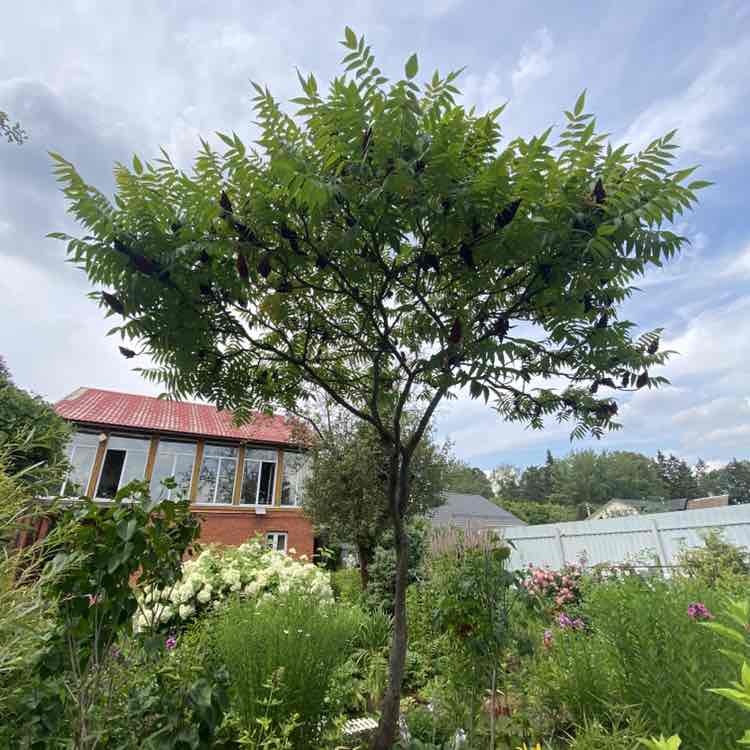 Александра post 1