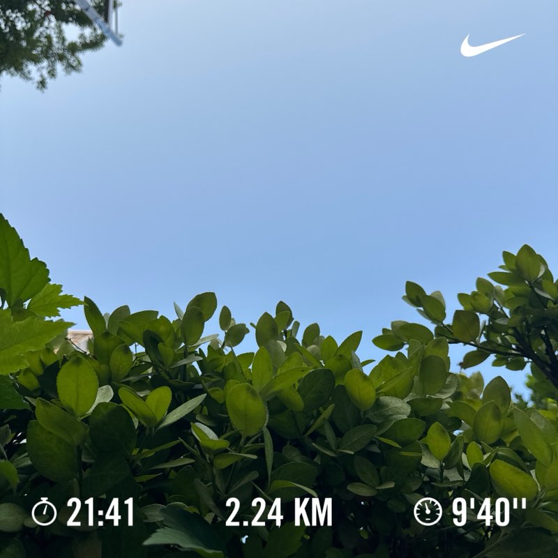 walking near me in Song-i Park in summer