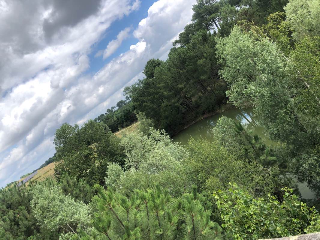 walking near me in Forêt du Bourgailh in winter