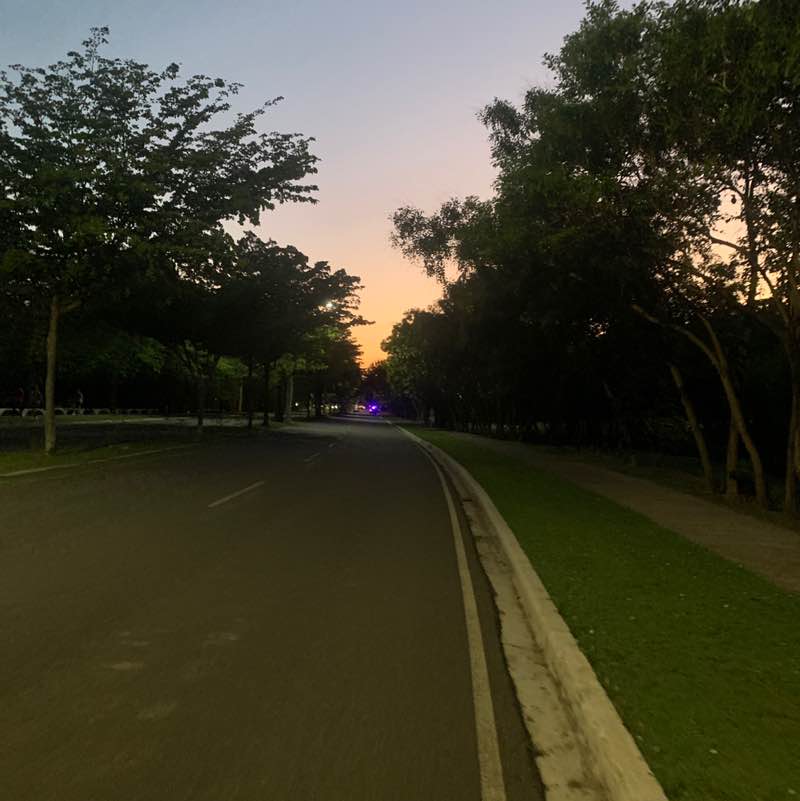 Cinthia Segura post 1