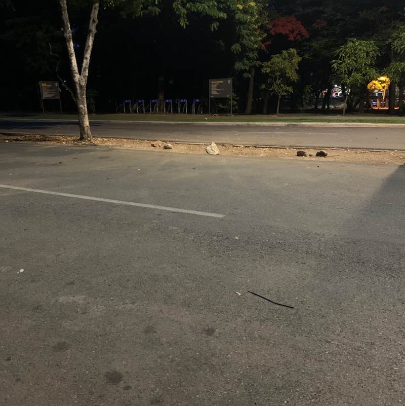 Cinthia Segura post 1