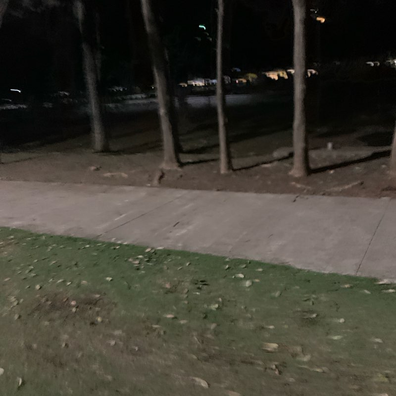 Cinthia Segura post 1