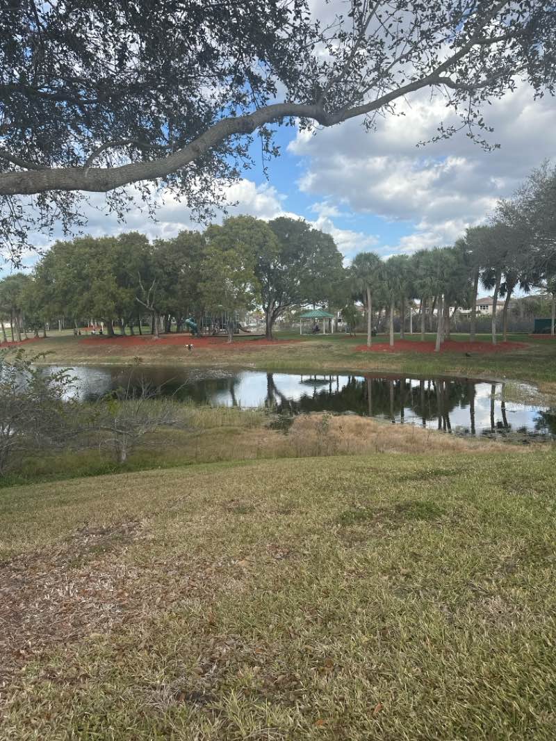walking near me in Island Park in winter