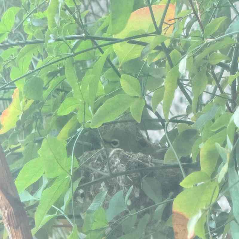 藍卡大 post 3