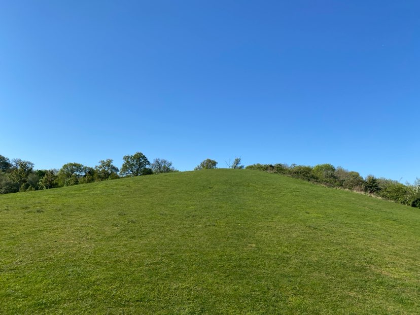 walking near me in Hamilton Park in spring