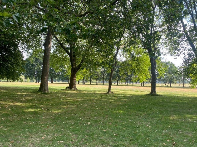 walking near me in Victoria Park in summer