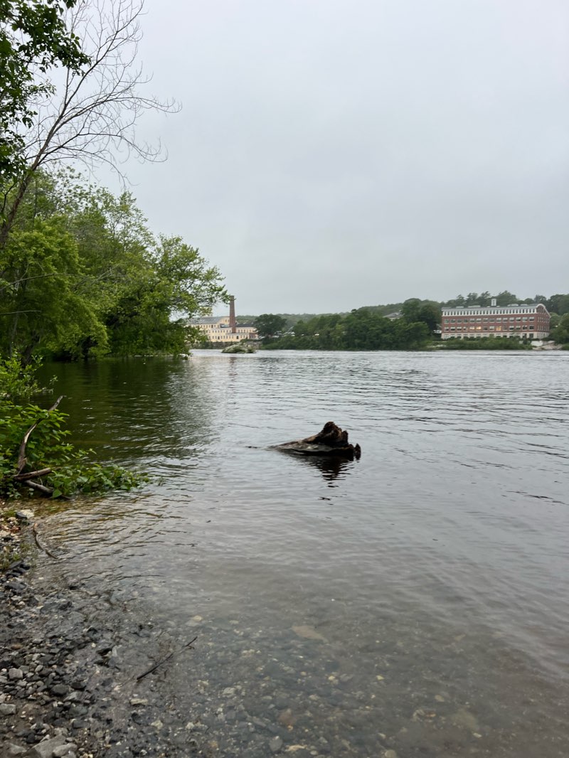walking near me in Pinette’s Landing in winter