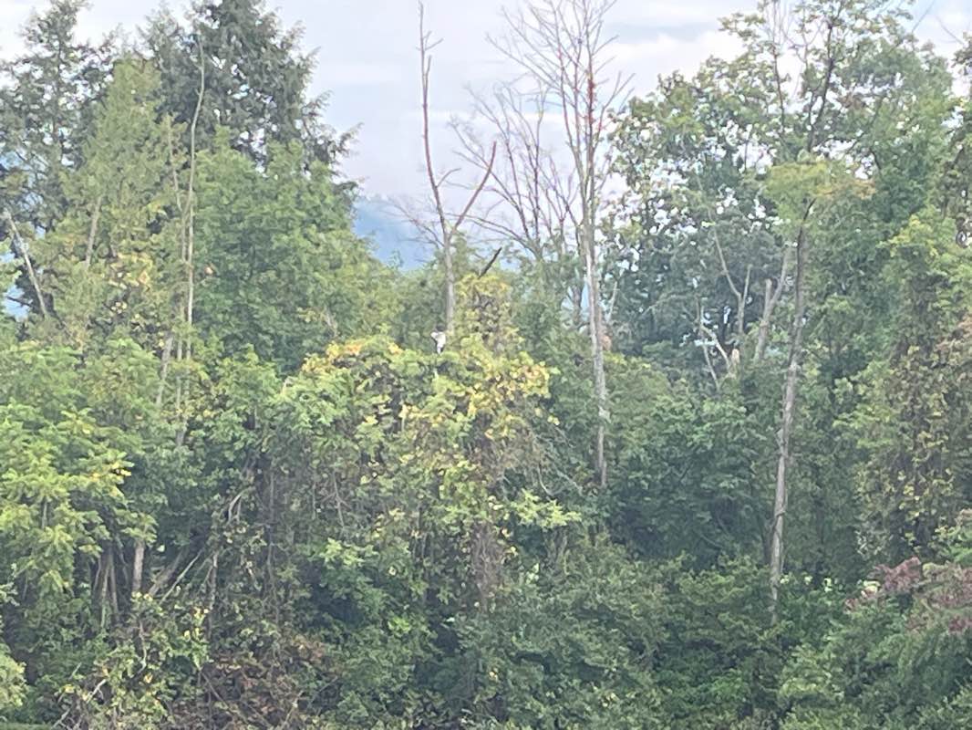 walking near me in Memorial Lake State Park in winter