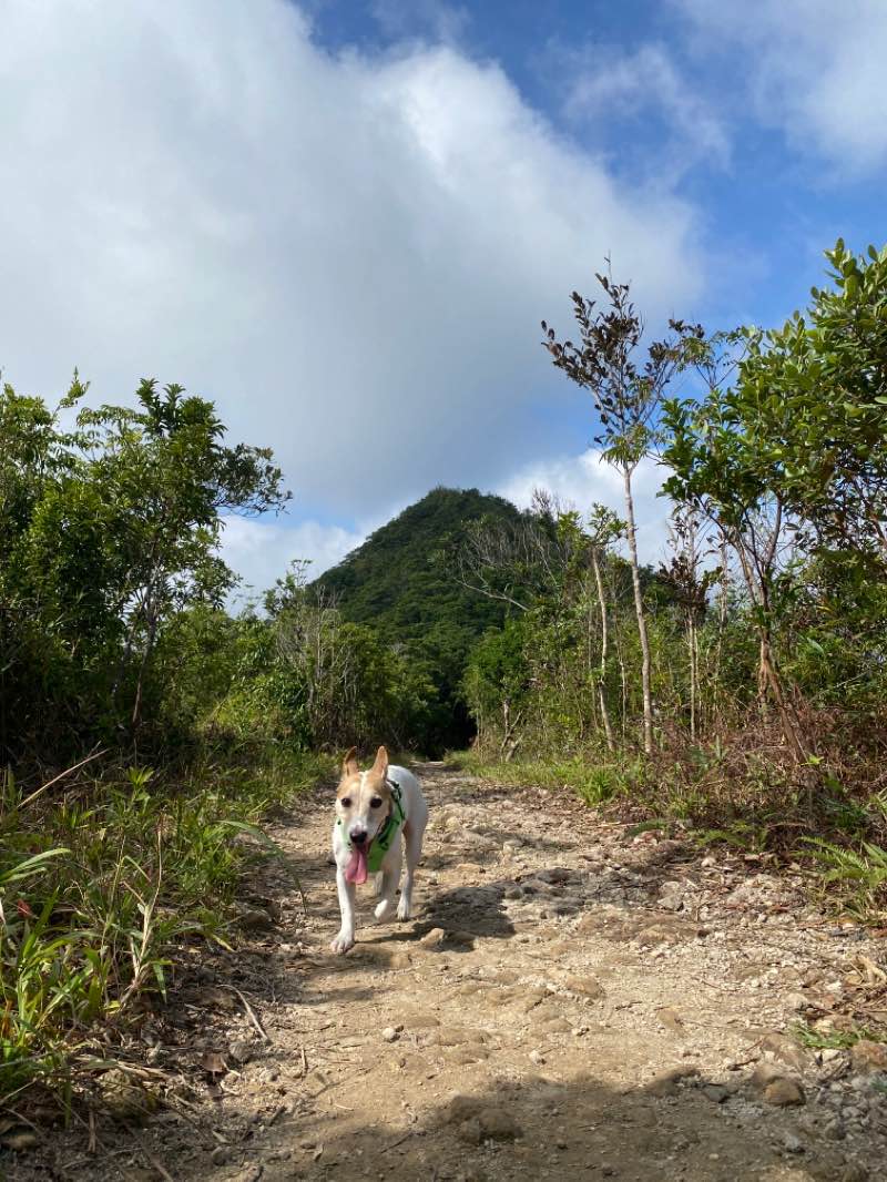 walking near me in Po Hong Park in winter