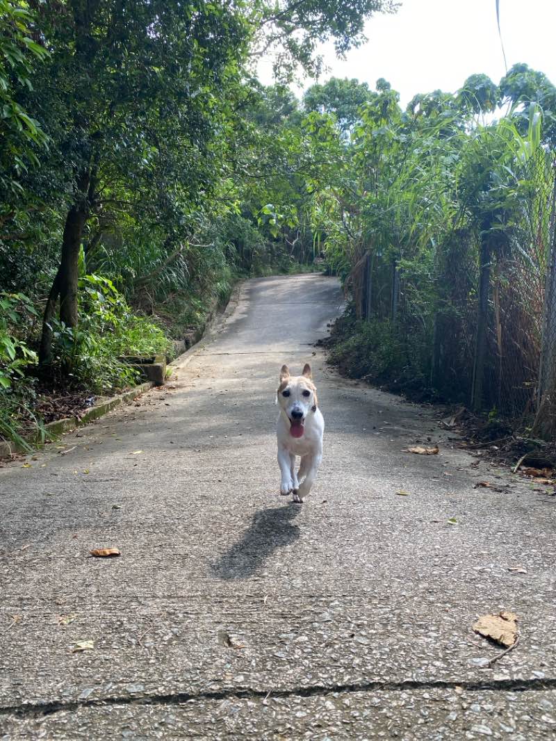 walking near me in Tong Ming Street Park in winter