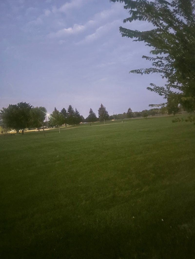 walking near me in Stewart Park in summer