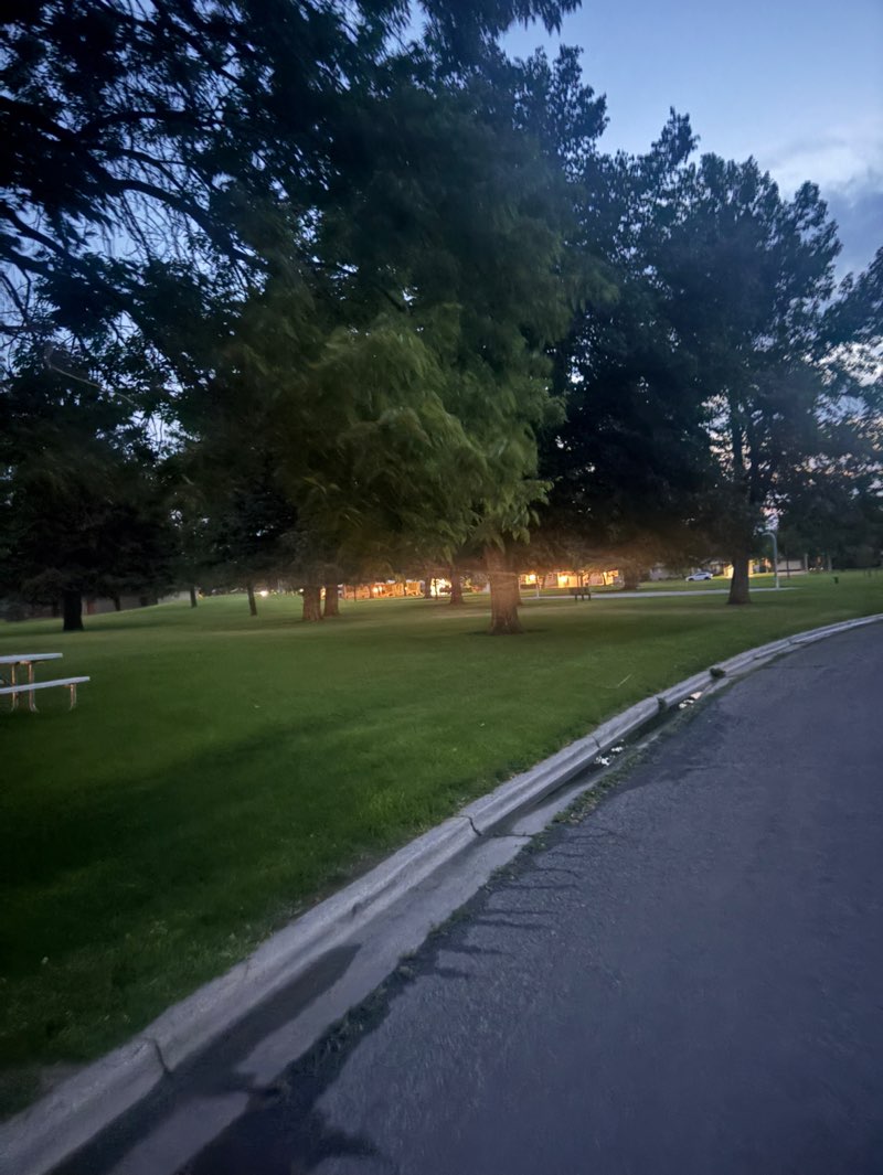 walking near me in Gorham Park in summer
