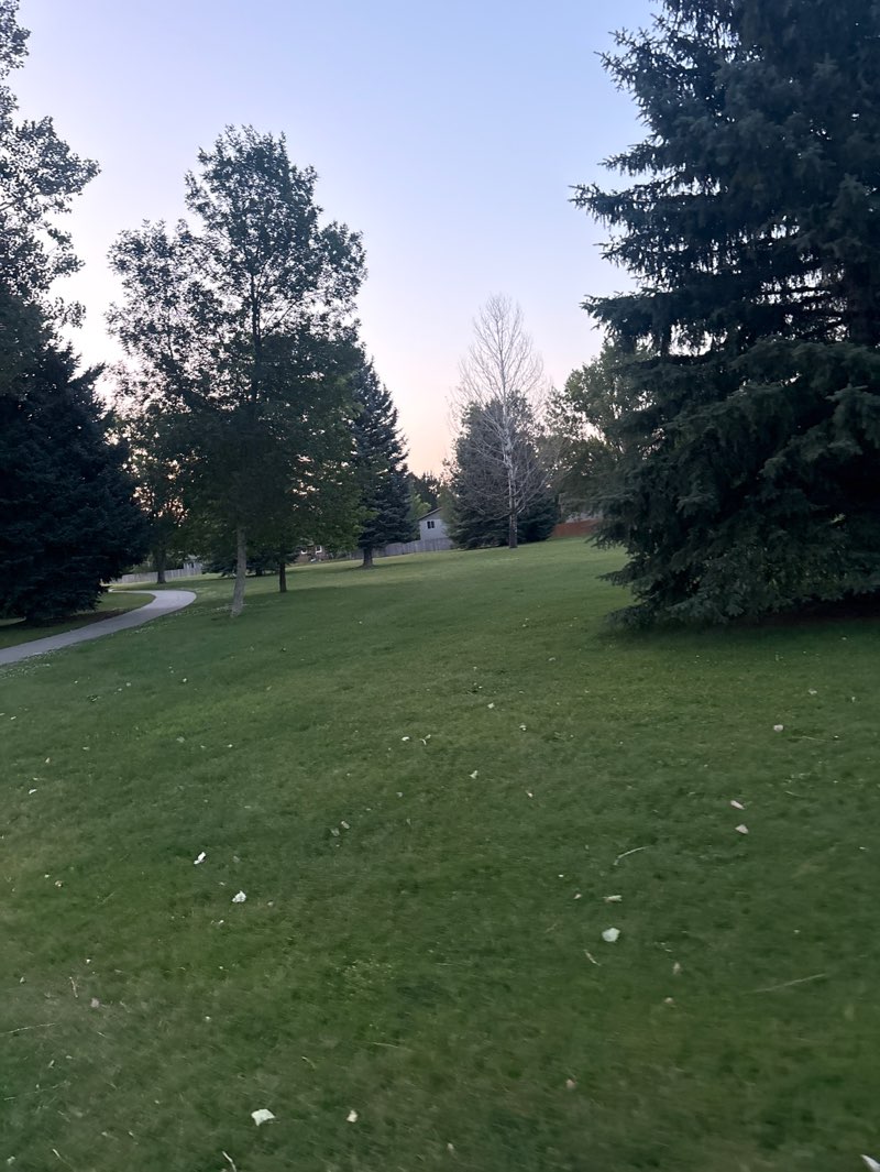 walking near me in Harvest Park in summer