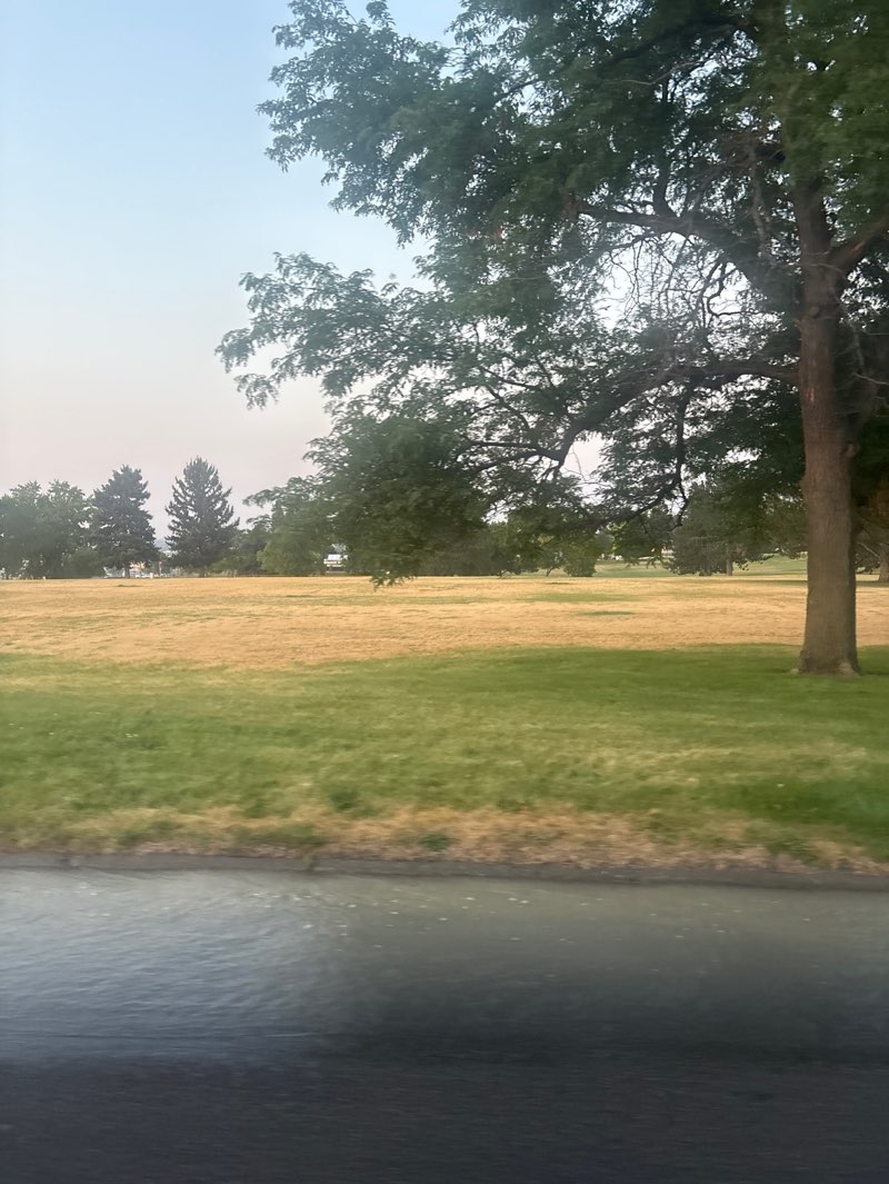 walking near me in Sacajawea Park in summer