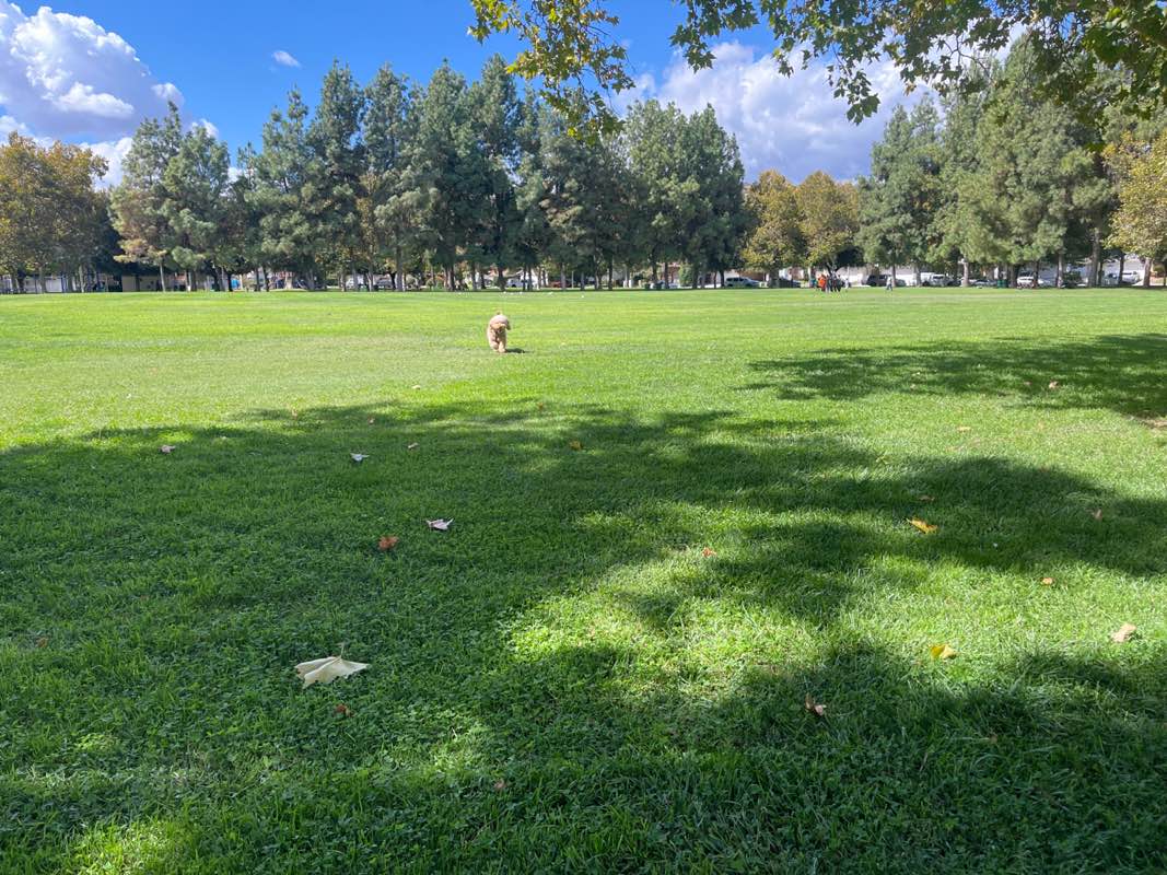 walking near me in Hasley Canyon Park in autumn