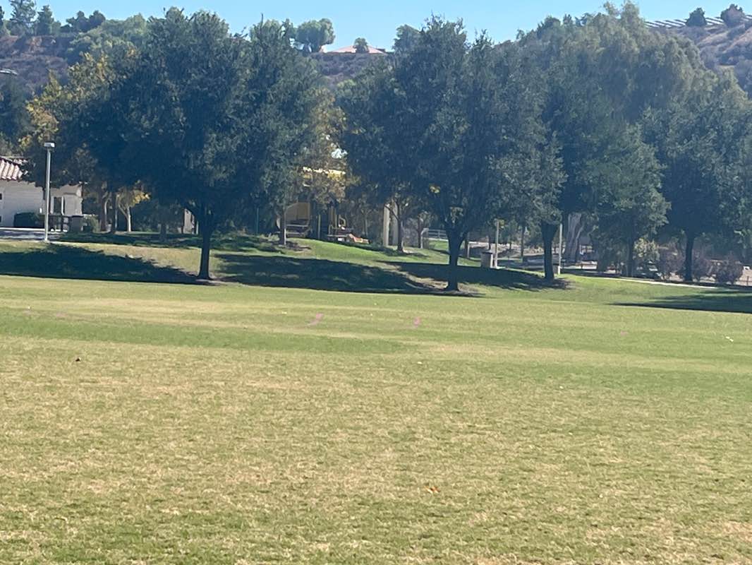 walking near me in Central Park in autumn