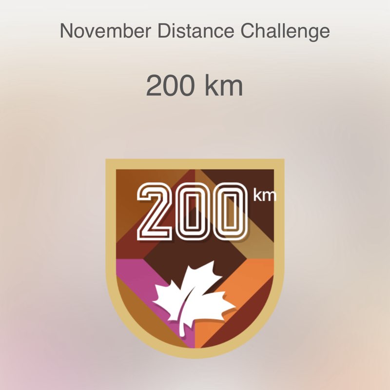 Missy🖤🐾🍦 post 2