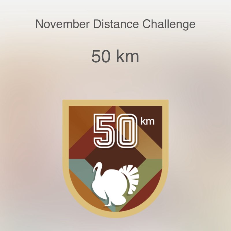 Missy🖤🐾🍦 post 3