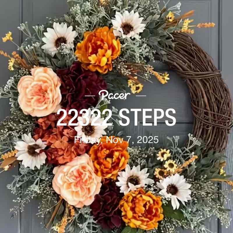 Missy🖤🐾🍦 post 1