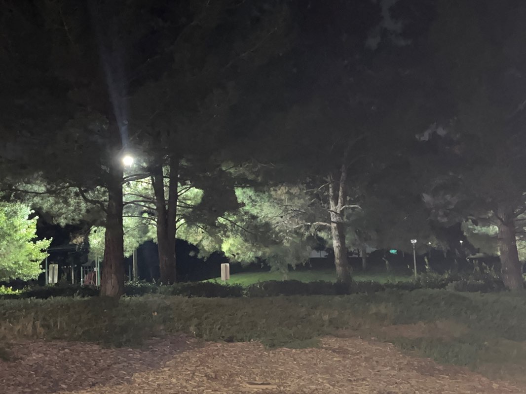 walking near me in Pamplico Park in autumn