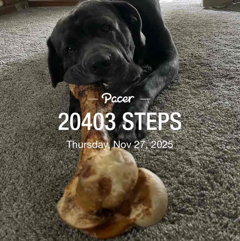 Missy🖤🐾🍦 post 1