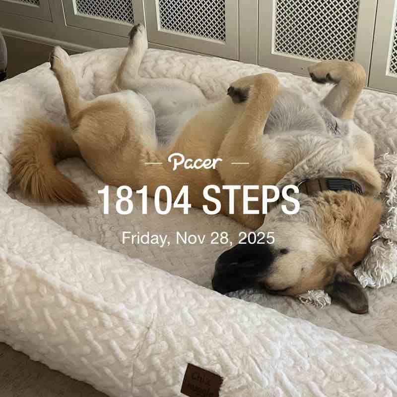 Missy🖤🐾🍦 post 1