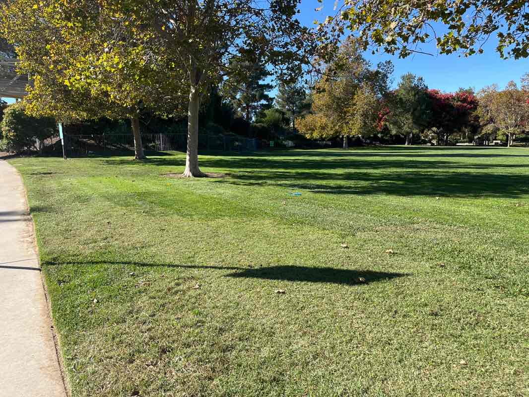 walking near me in Valencia Central Valley Park in autumn