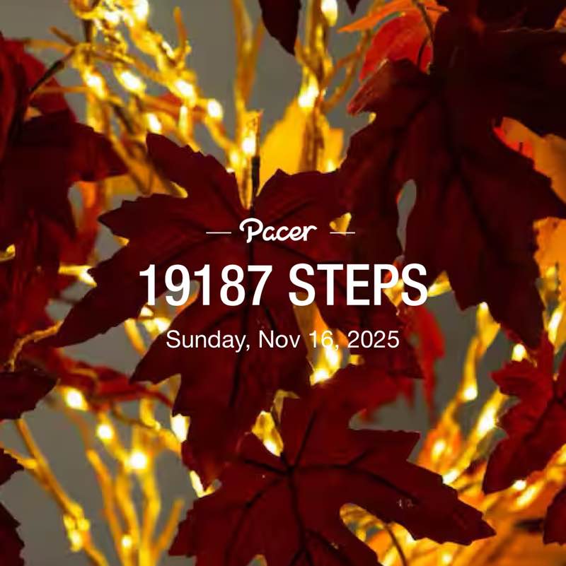 Missy🖤🐾🍦 post 1