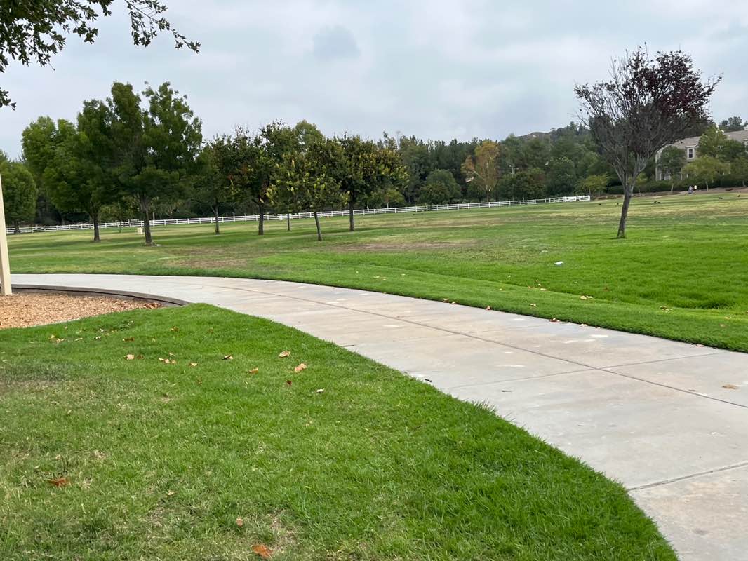 walking near me in Bridgeport Park in autumn