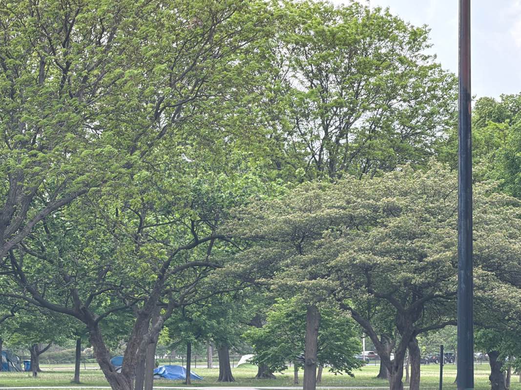 walking near me in Margate Park in summer
