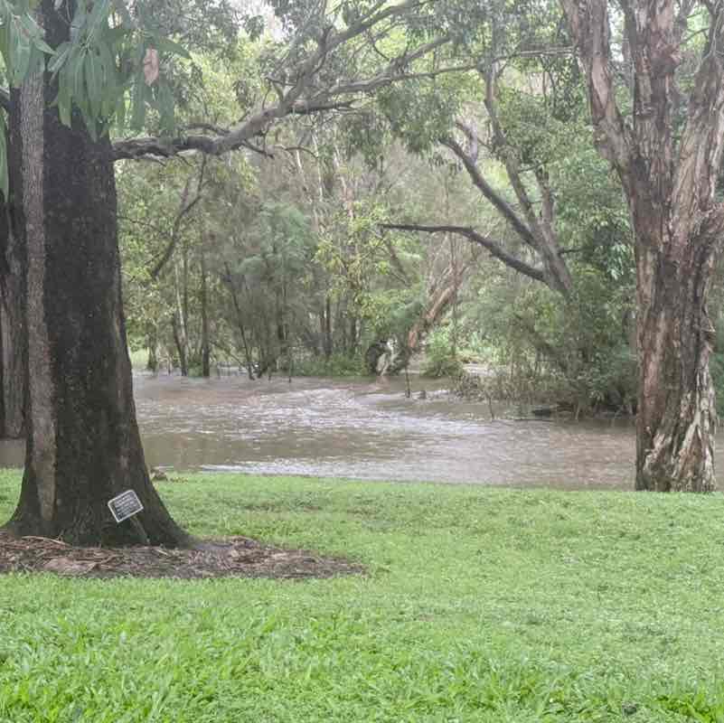 🇦🇺 Anita 🇦🇺 post 1