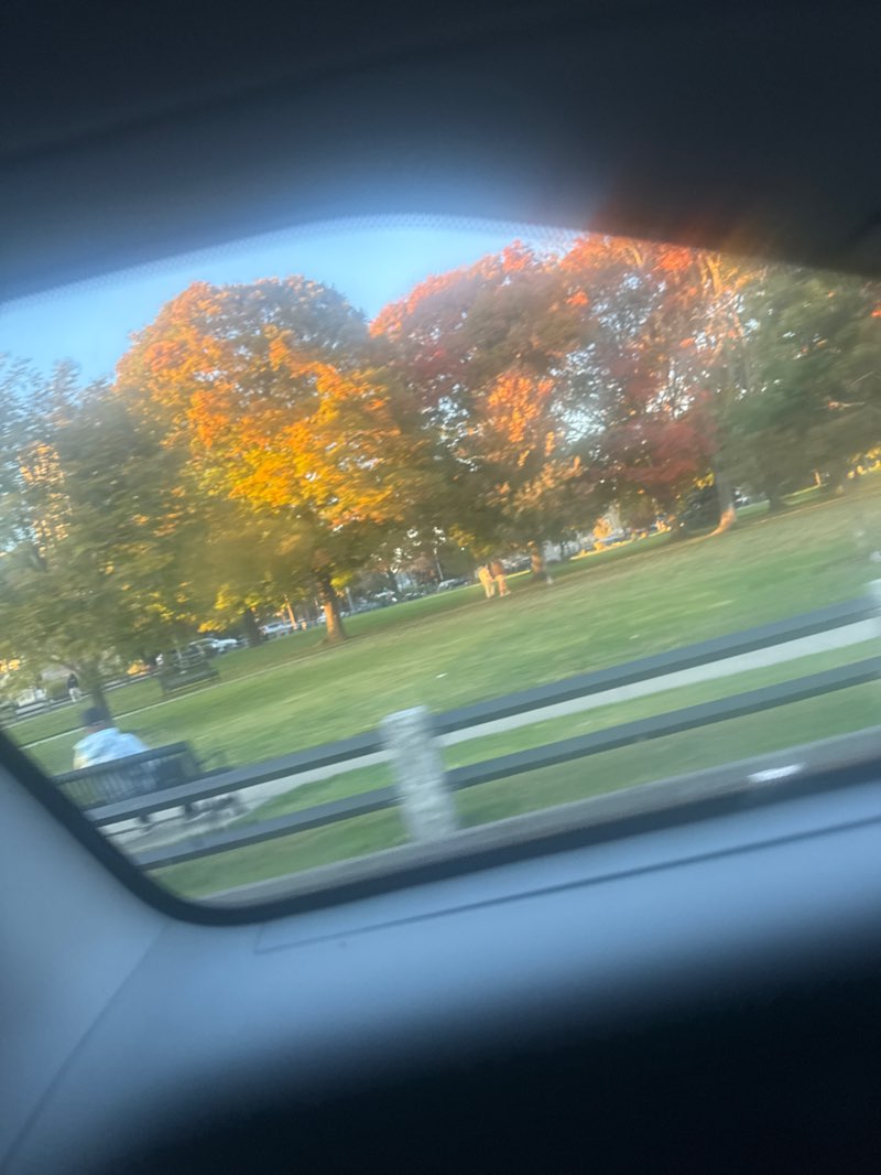 walking near me in Central Park in autumn